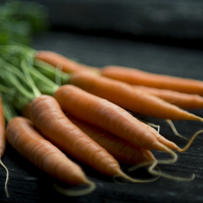 carrot