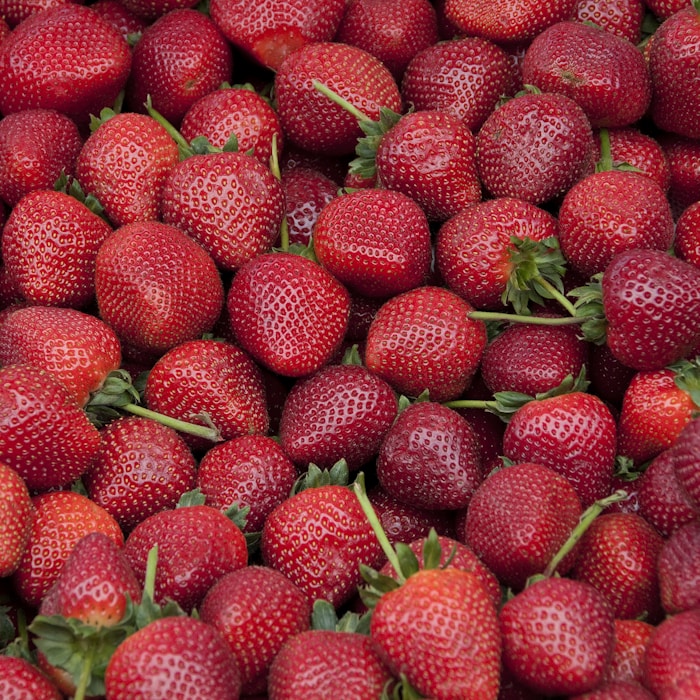 strawberry