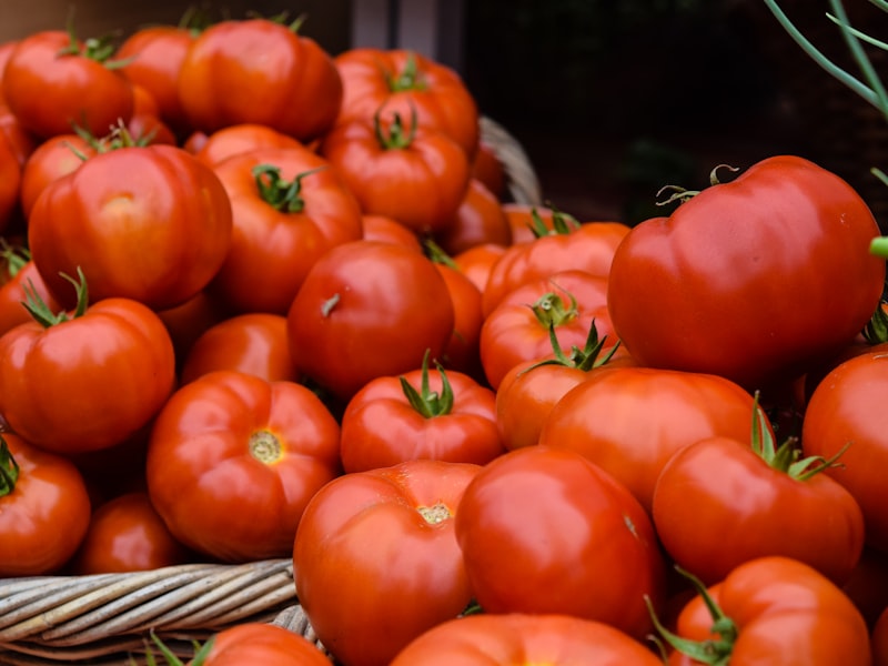 tomato